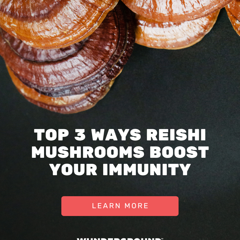 Top 3 Ways Reishi Mushrooms Boost Your Immunity