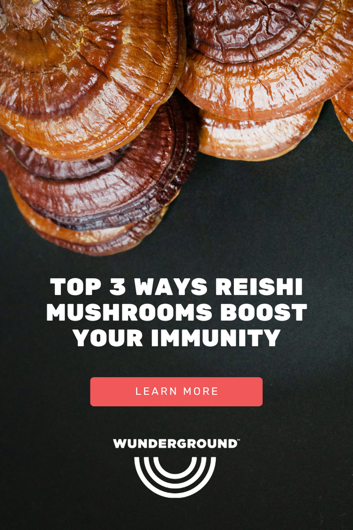Top 3 Ways Reishi Mushrooms Boost Your Immunity – Wunderground